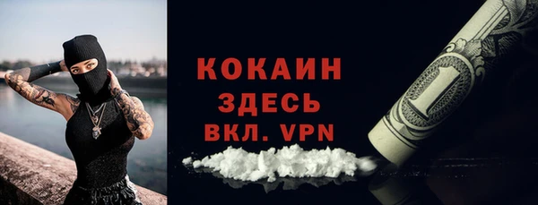 дживик Белоозёрский