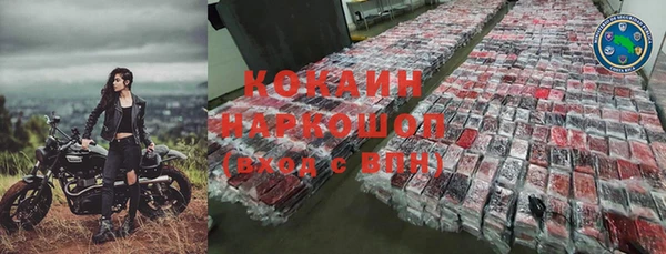 ECSTASY Белокуриха