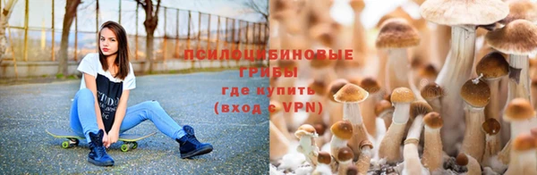 ECSTASY Белокуриха