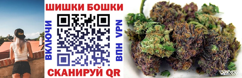 Каннабис индика Купить закладки Новокубанск